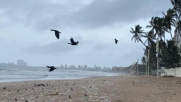 Mumbai Juhu Beach is closed to visitors due to Heavy Rainfall!